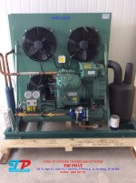 CUM-MAY-MELUCK-MAY-BITZER-40-Copy