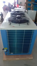 CUM MAY EMERSON (21)