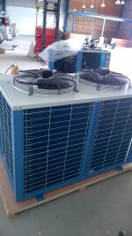 CUM MAY EMERSON (22)