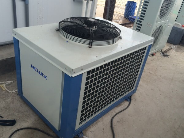 CUM MAY EMERSON (62)