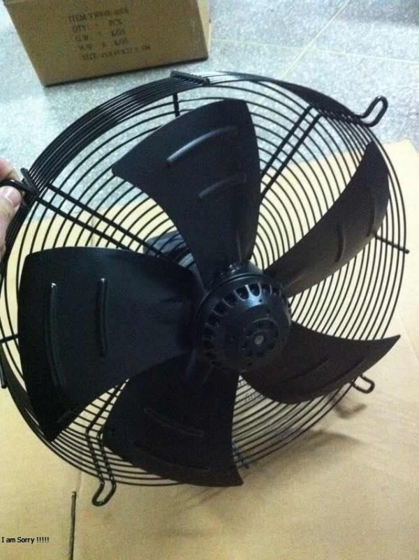 49641354_2241811286140857_7956916267233837056_n