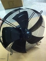 49641354_2241811286140857_7956916267233837056_n