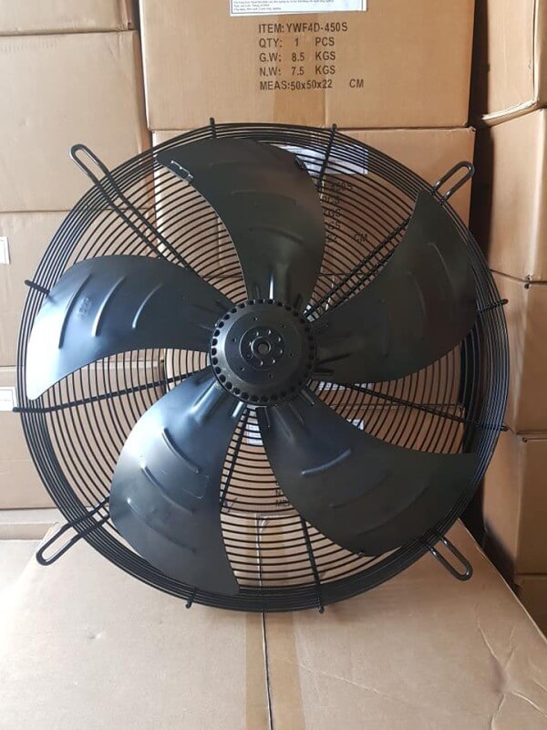 49723877_2242986059356713_6863244021158903808_n