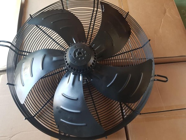 49751023_2242986022690050_8450875710007934976_n