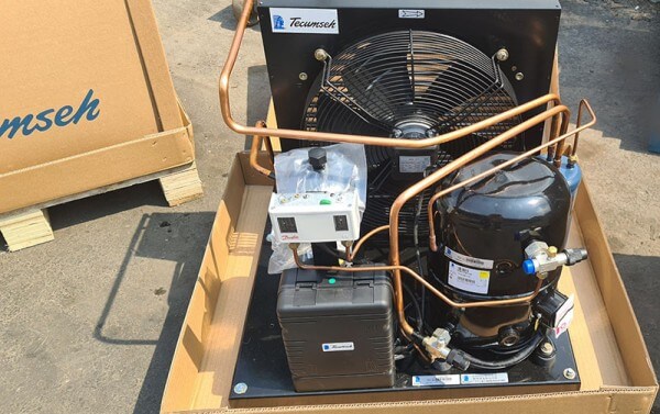 z5582583263863_496048a2eed15e677fd3d542d10a4d35