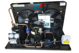 Cụm Máy TECUMSEH EPL2522Z