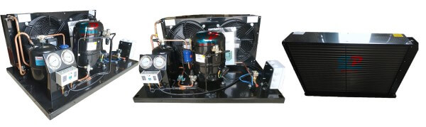 z5582545076076_7201669ccce40e0ad745134d5d304504