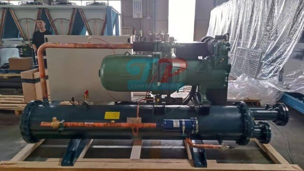 z5568034972941_de9fbc1804dc8fd13ceec9606f78907d