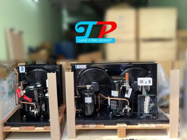 Cụm Máy TECUMSEH EPL2525Z