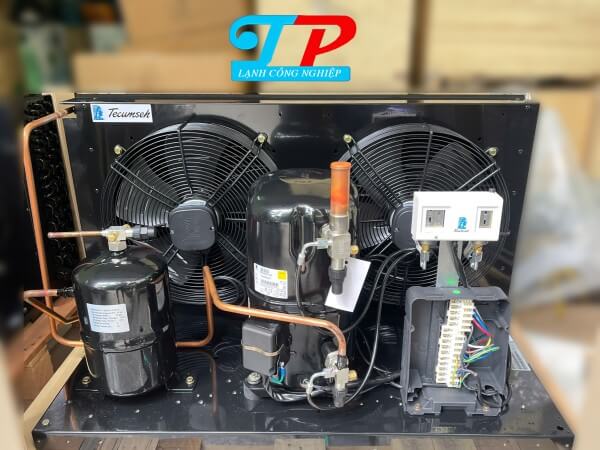 Cụm Máy TECUMSEH EPL2525Z