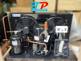 Cụm Máy TECUMSEH EPL2525Z