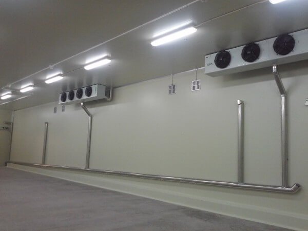 dan-lanh-KUEBA-Duc-1