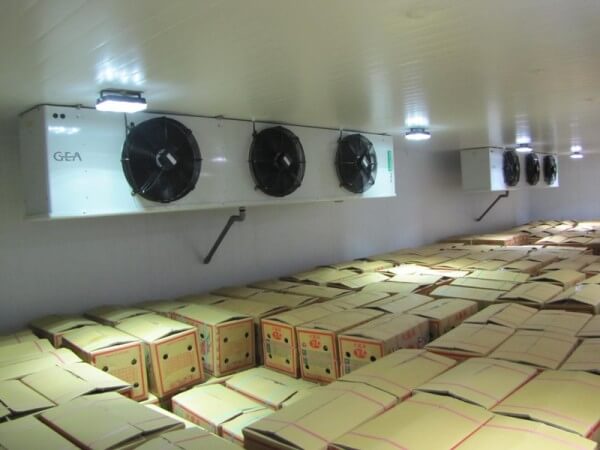 dan-lanh-KUEBA-Duc-5